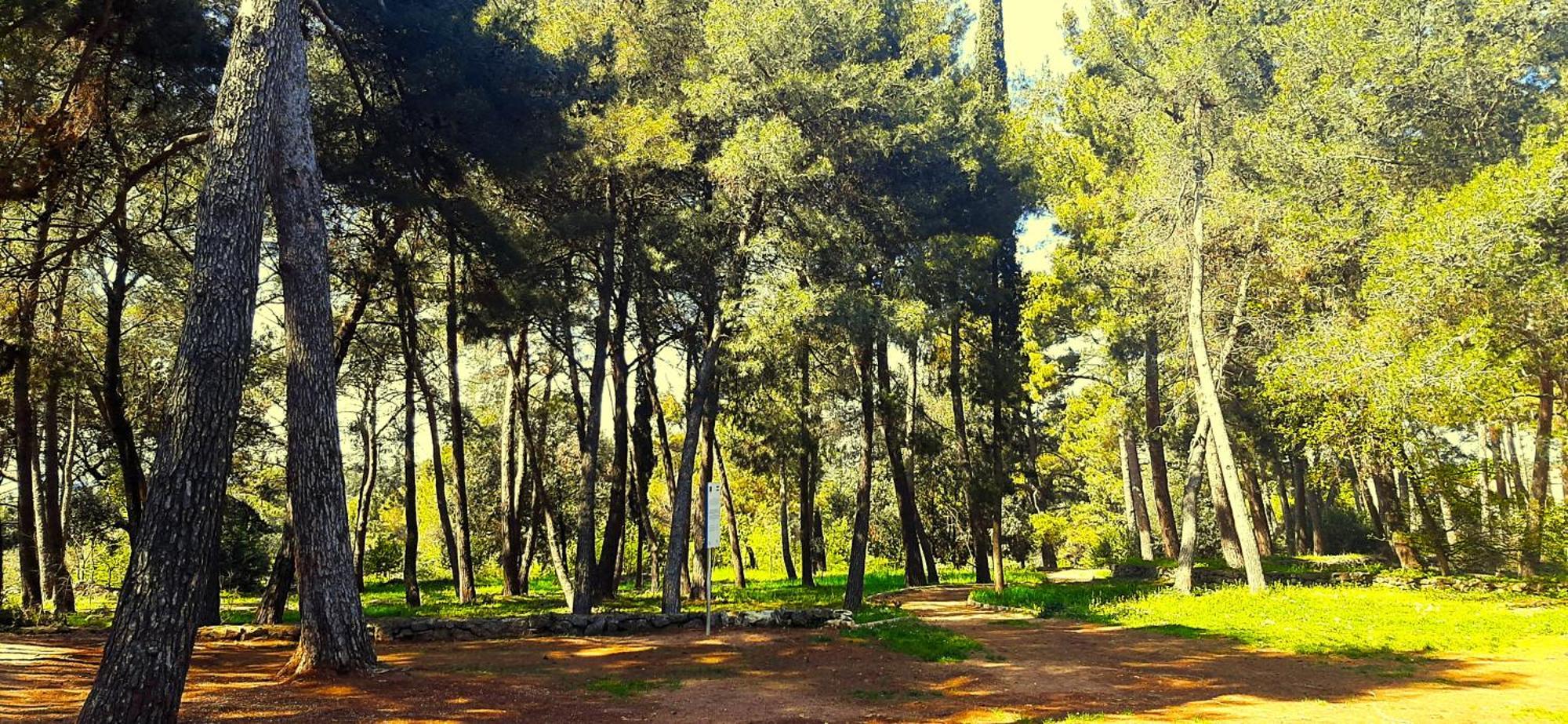 רוביני Apartment Orange 29 מראה חיצוני תמונה
